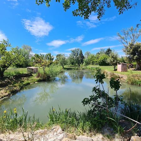 Les Buisses En Provence Bed & Breakfast Piolenc Bagian luar foto