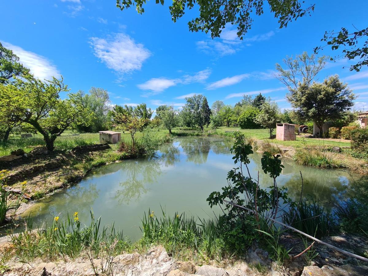Les Buisses En Provence Bed & Breakfast Piolenc Bagian luar foto
